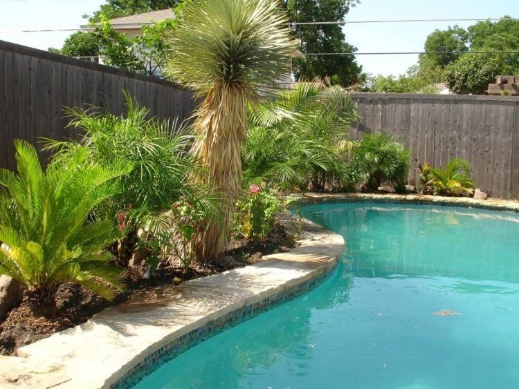 pool landscaping