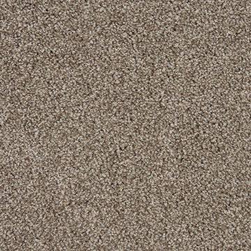different types of carpet