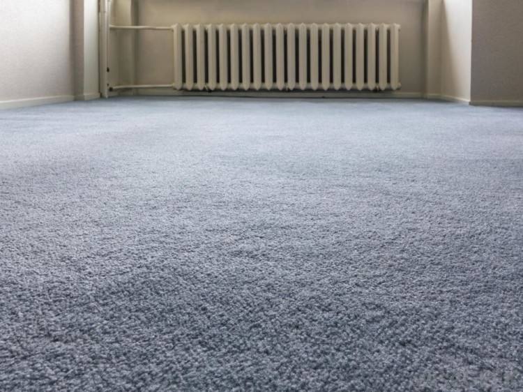 But from my point of view area rug cleaning services faifax are one of the best and experience carpet cleaners