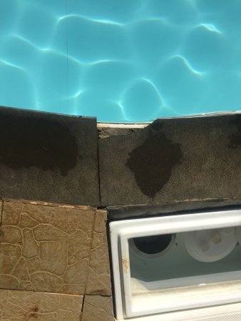 replacing pool tile st swimming replacement repair cost to replace per  linear foot