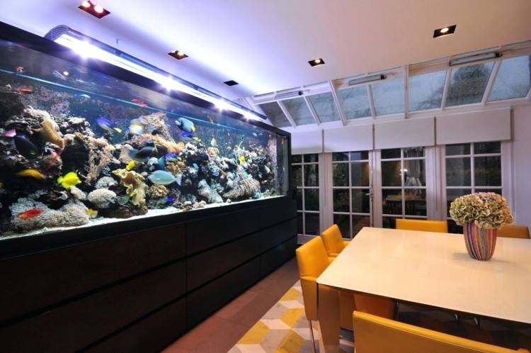 aquarium dining table
