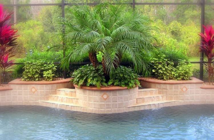 landscaping ideas for pool areas landscape around