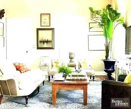 Greenscape Design African Rainforest Decor