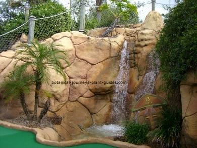 pool design austin natural pool designs custom swimming tropical backyard waterfalls landscape best decor design best