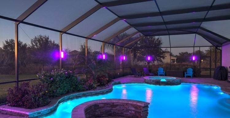 Complete Renovation and Restoration of a Pool Enclosure in Brandon, FL