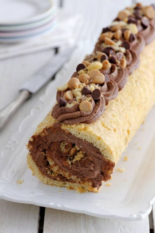 Steps for making Designed swiss roll | With A Spin