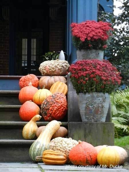 So many  cute pumpkin decorating ideas here I had trouble choosing which ones to use!