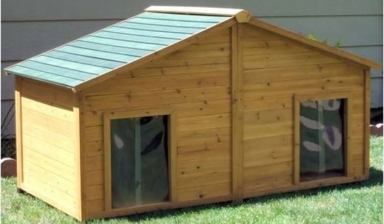 For multiple dogs, a large kennel may be more suitable