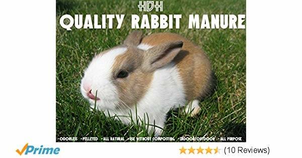 Best rabbit hutches for outdoors featured image