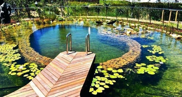 A wonderful example of how an organic pool can adapt to any design approach