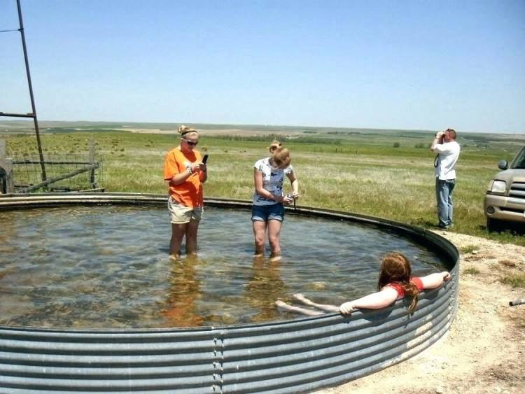 stock tank pool beat the heat this summer new feed cattle trough pool stock  tank pool