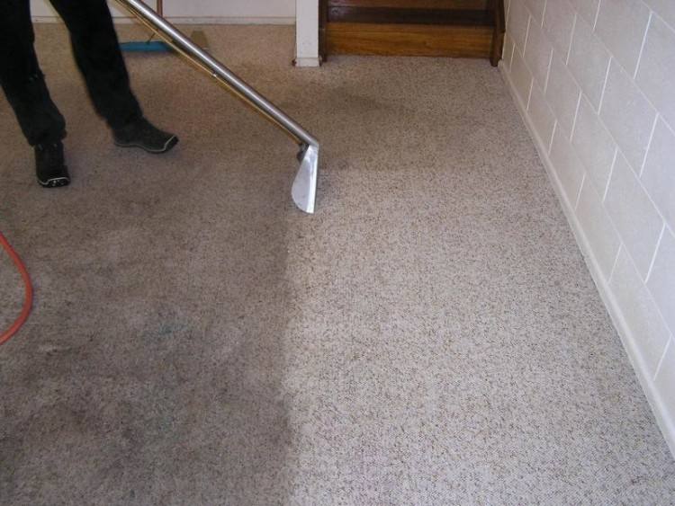 Cleaning your carpet is very important and finding the best cleaning  company should not be underestimated