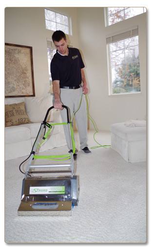 The best carpet cleaning solution for pet stains and eliminates odor